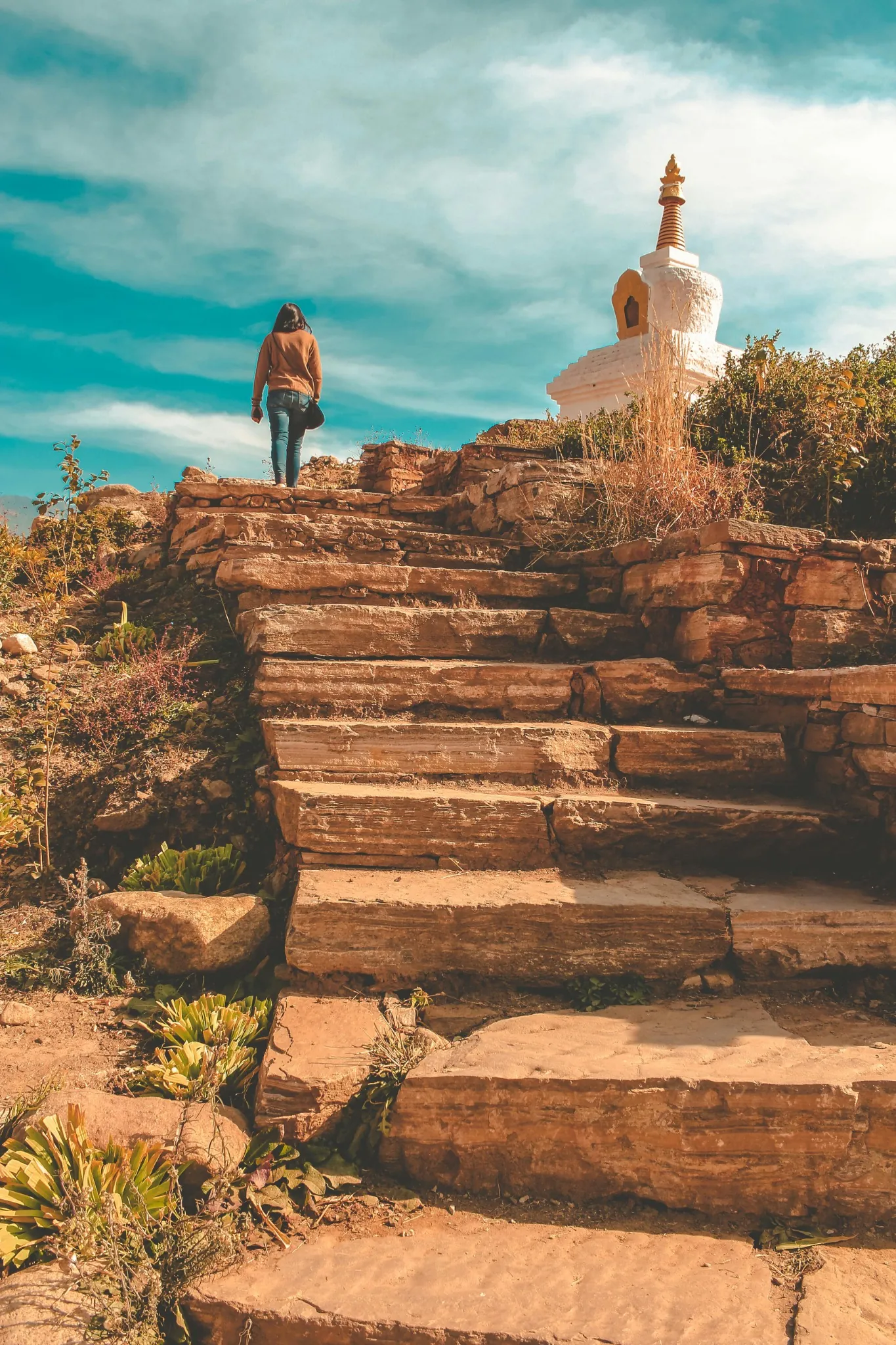 Bhutan Trail and Stupa